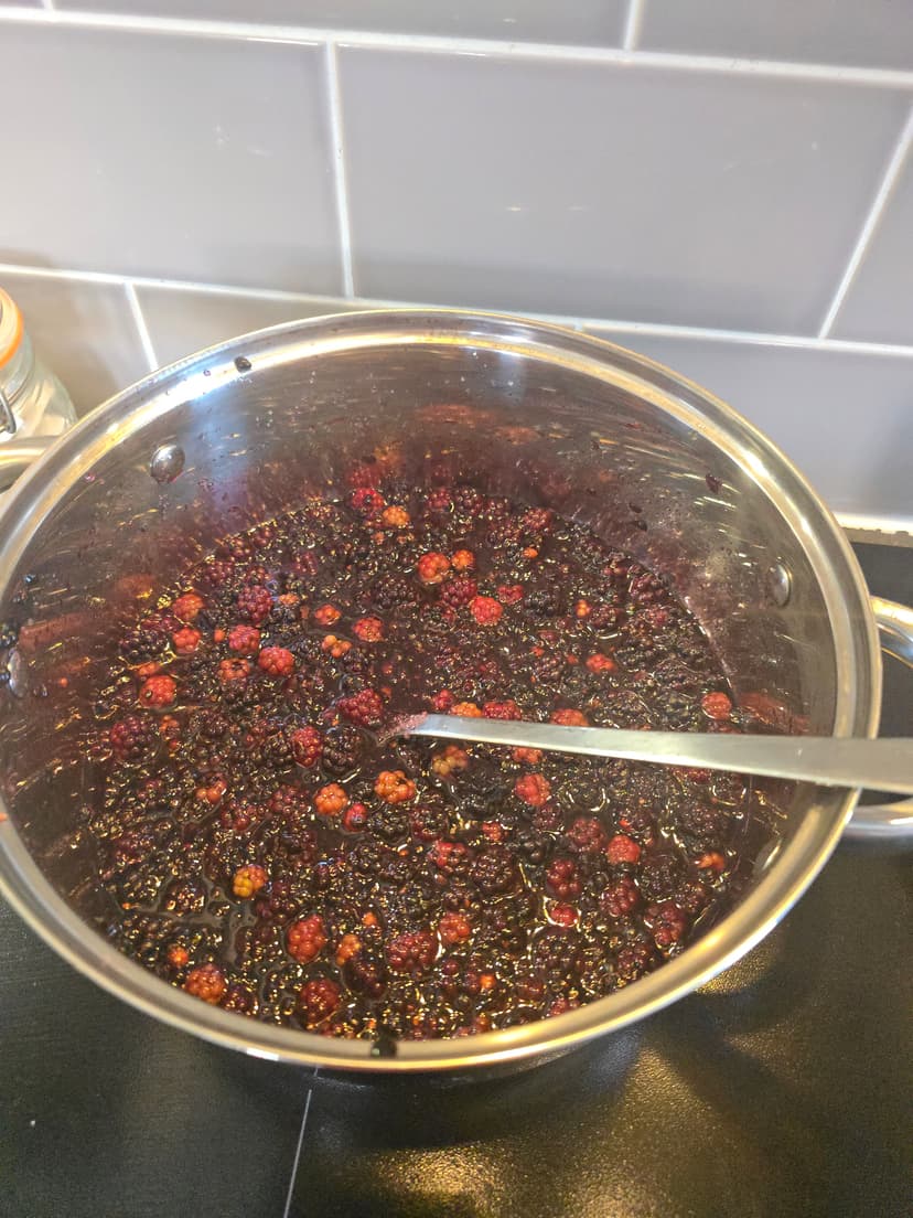 blackberry_cooking